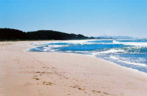 Sanctuary Bush to Beach House