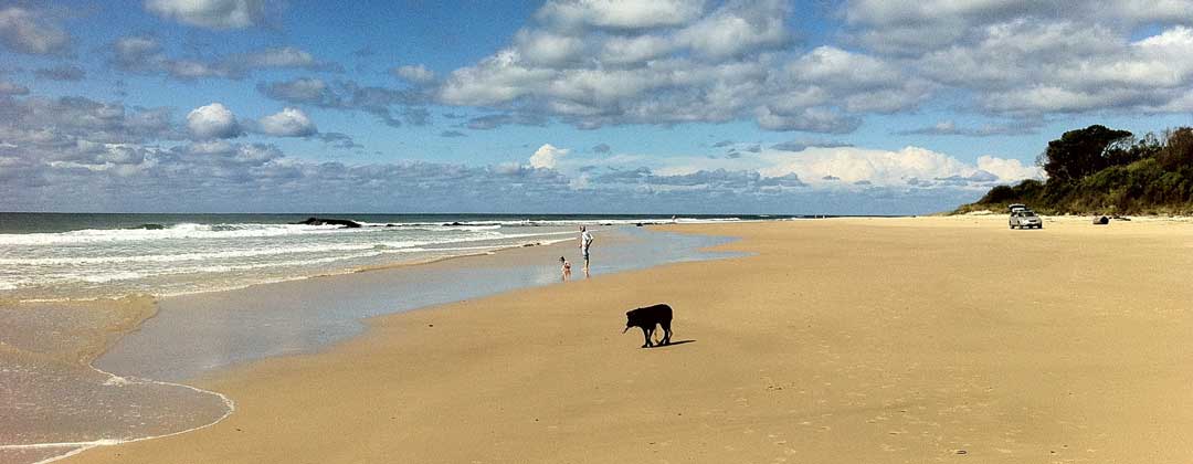 Pet Friendly Accommodation. Four pet friendly holiday houses; dog friendly accommodation for holidaying with dogs. Holiday rentals at Nambucca Heads near Valla Beach, Mid North Coast NSW & Copacabana Beach Central Coast NSW