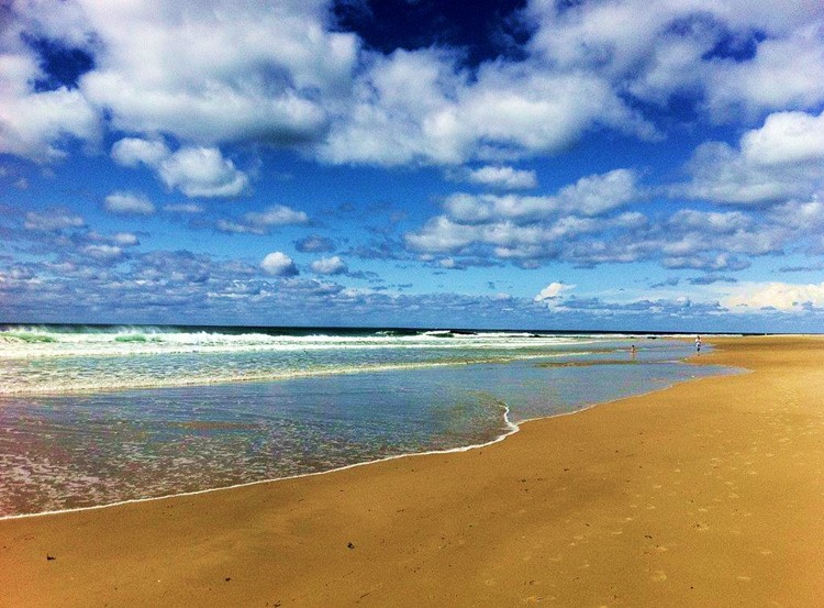 Dog beach 7 mins walk from Sanctuary Bush to Beach House. A pet friendly accommodation beach house with dog friendly beaches for your holiday at Nambucca Heads near Valla Beach, Mid North Coast NSW 